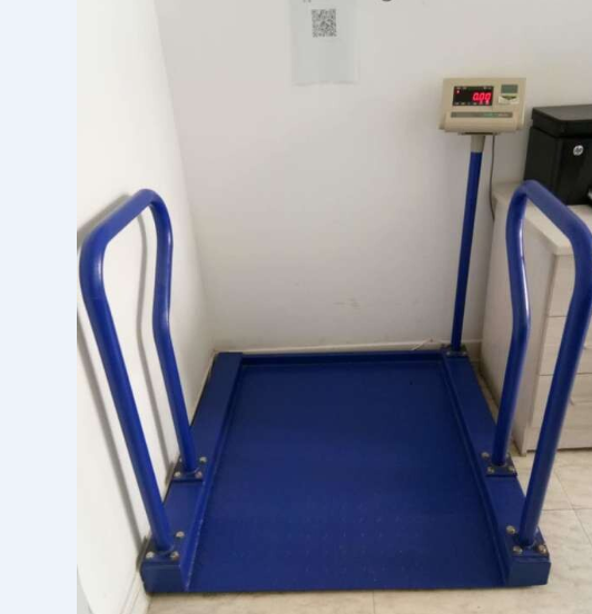China Youngic 5 Ton Digital Floor Scale.png
